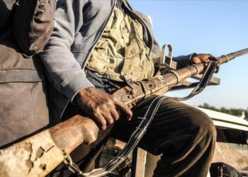 État de siège/Beni : L’armée loyaliste neutralise 5 présumés rebelles ADF à Rwenzori