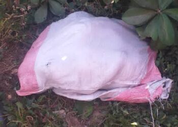 Uvira : Une fillette d’environ 5 ans retrouvée morte dans un sac à Kasenga