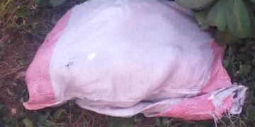 Uvira : Une fillette d’environ 5 ans retrouvée morte dans un sac à Kasenga