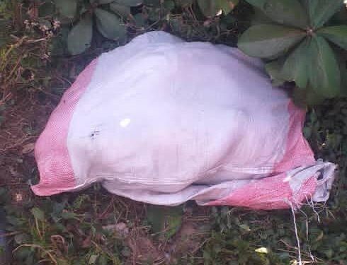 Uvira : Une fillette d’environ 5 ans retrouvée morte dans un sac à Kasenga