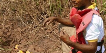 Tanganyika : découverte de 75 engins non explosés à Kabumba