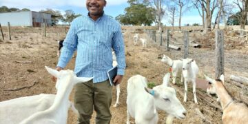 Australie : l’Hon. Luc Mulimbalimba  visité une  ferme des Chevres en Australie
