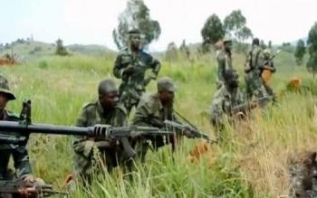 Nord Kivu : plusieurs localités tombent aux mains des rebelles du M23 Territoire de Rutshuru au Nord-Kivu en République Démocratique du Congo
