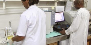 Kisangani : des experts congolais annoncent la mise au point d’un sérum contre le venin du serpent