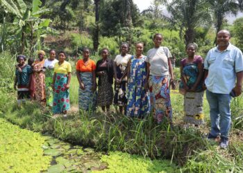 Uvira : l’honorable Luc Mulimbalimba encourage l’entrepreneuriat féminin à travers la pisciculture rurale